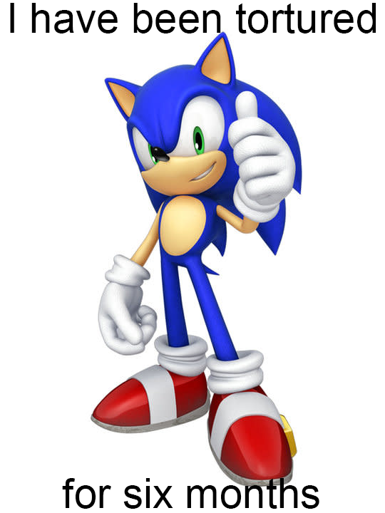 Meme of Sonic giving a thumbs up and grinning. The caption reads: I have been tortured for six months.