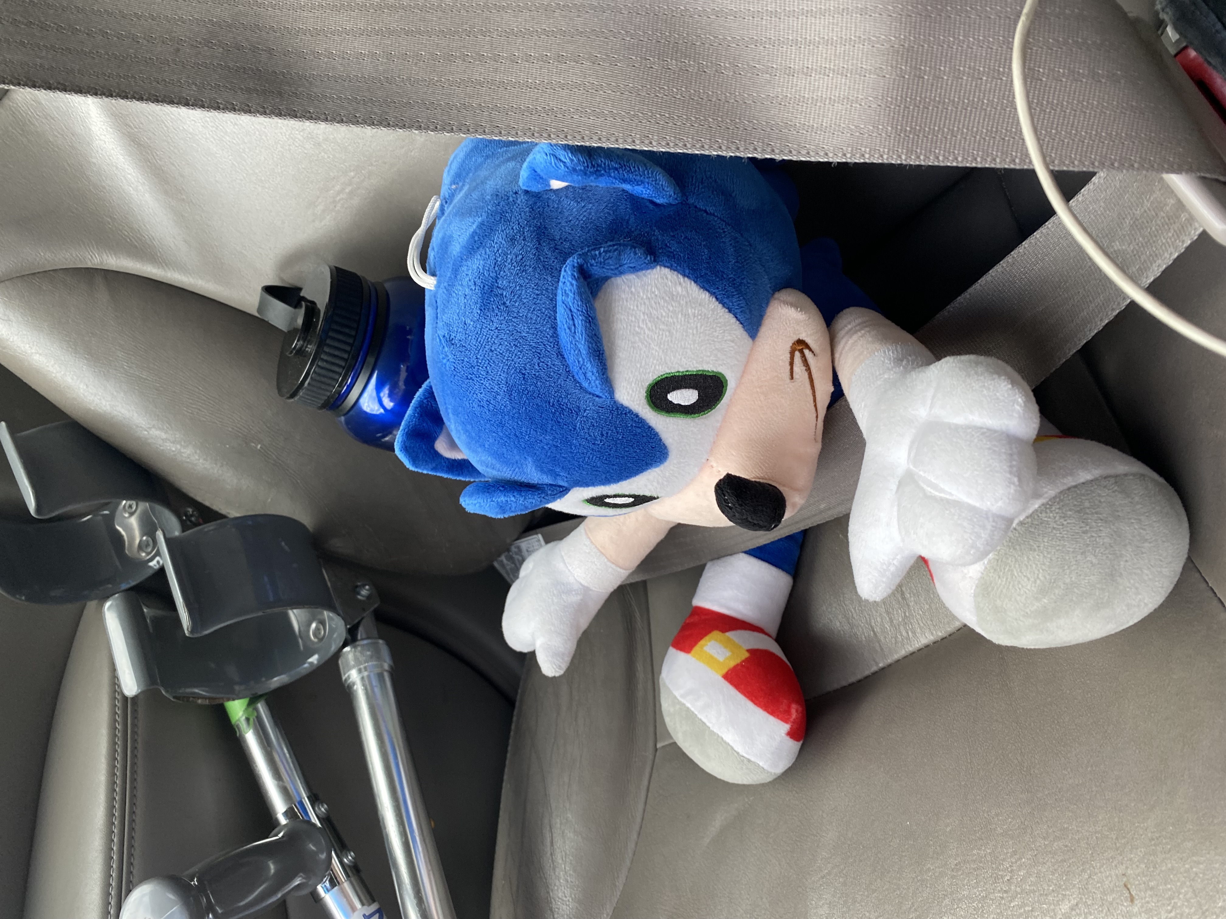 Photograph of a Sonic plush seated in a car and buckled in. There is a water bottle next to him and forearm crutches leaning against the seat.