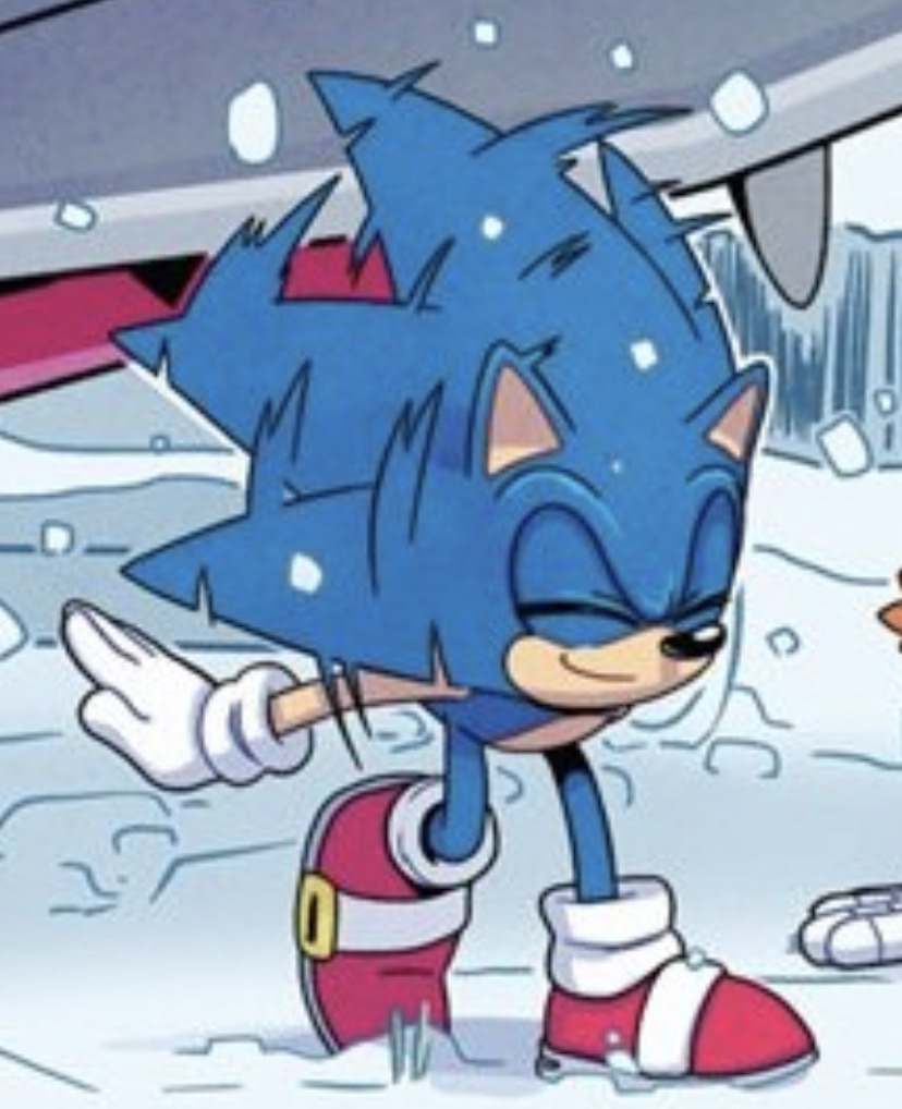 Frame of Sonic IDW. Sonic shakes himself off like a dog.