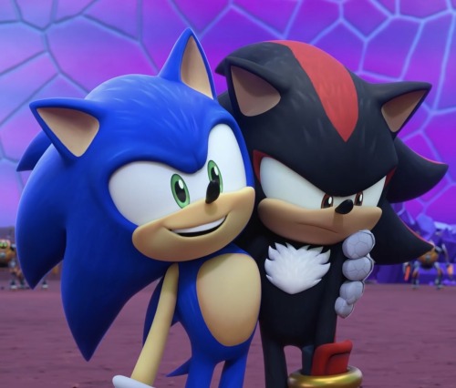 Screenshot of Sonic Prime. Sonic has his arm around Shadow and grins widely. Shadow glares down at Sonic's hand.